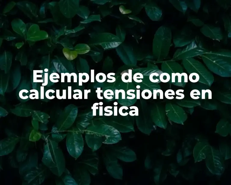 Ejemplos de como calcular tensiones en fisica
