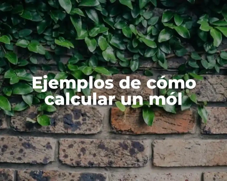 Ejemplos de cómo calcular un mól