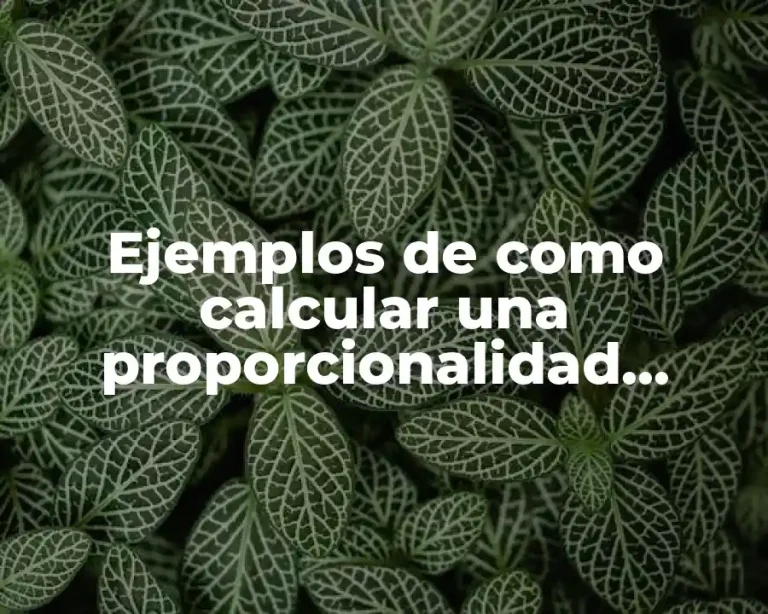 Ejemplos de como calcular una proporcionalidad inversa y Significado