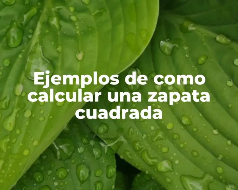 Ejemplos de como calcular una zapata cuadrada