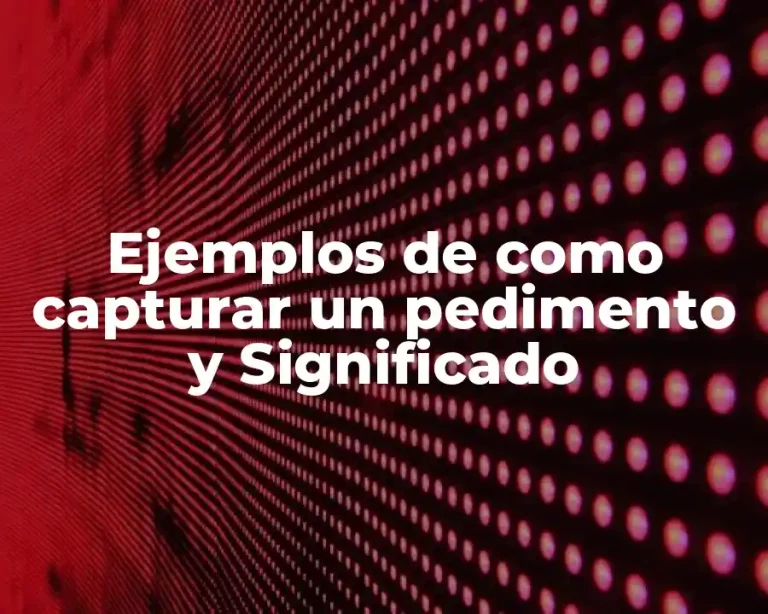 Ejemplos de como capturar un pedimento y Significado
