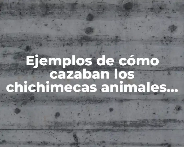 Ejemplos de cómo cazaban los chichimecas animales dentro del río y Significado