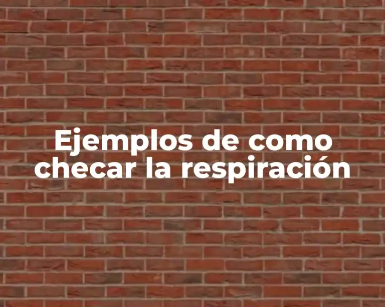 Ejemplos de como checar la respiración