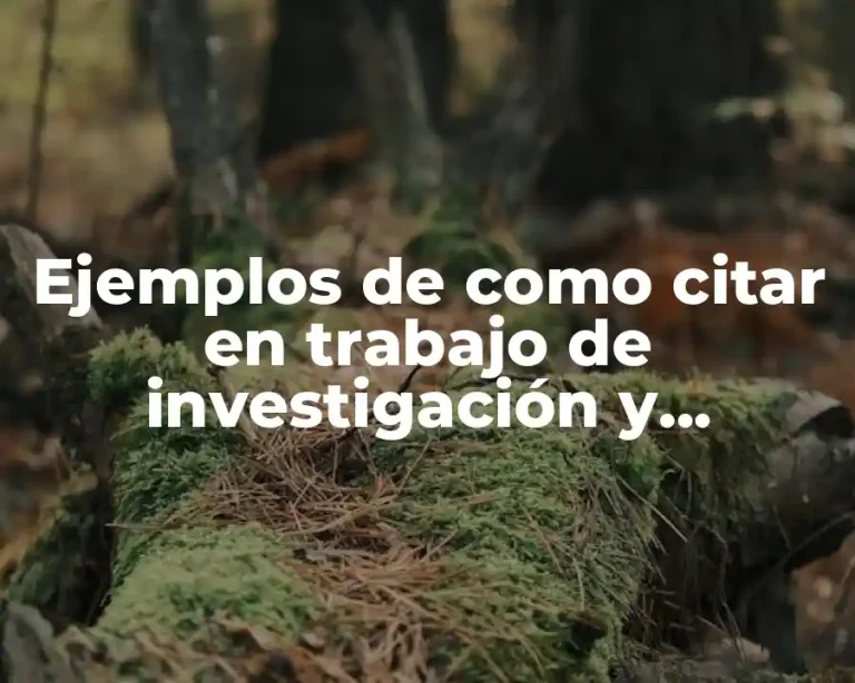 Ejemplos de como citar en trabajo de investigación y Significado