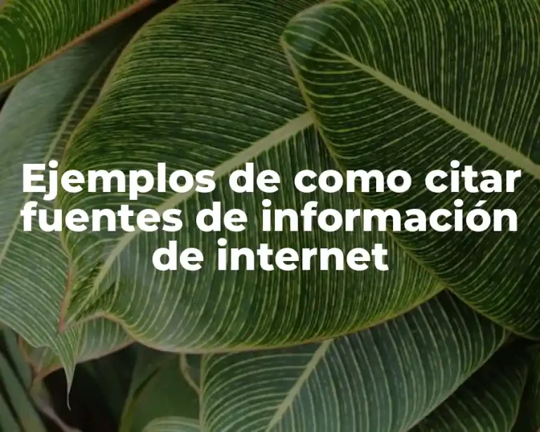 Ejemplos de como citar fuentes de información de internet