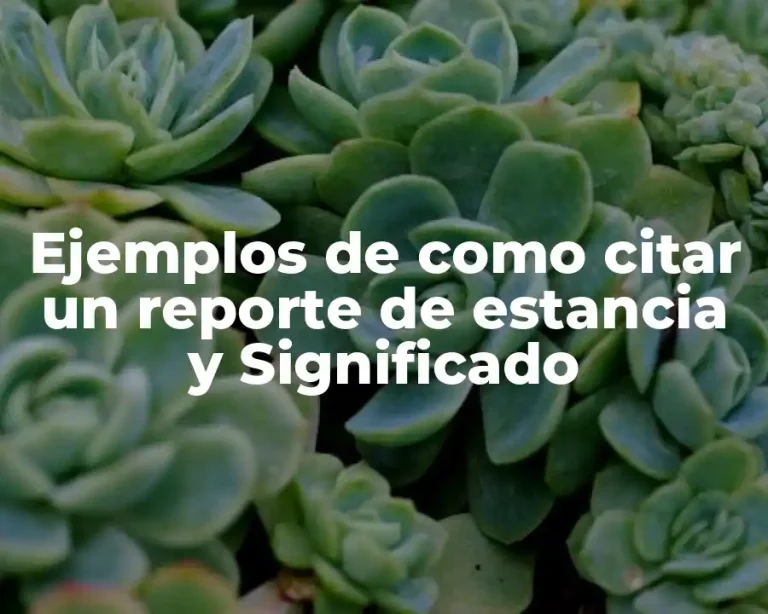 Ejemplos de como citar un reporte de estancia y Significado