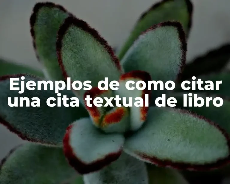 Ejemplos de como citar una cita textual de libro