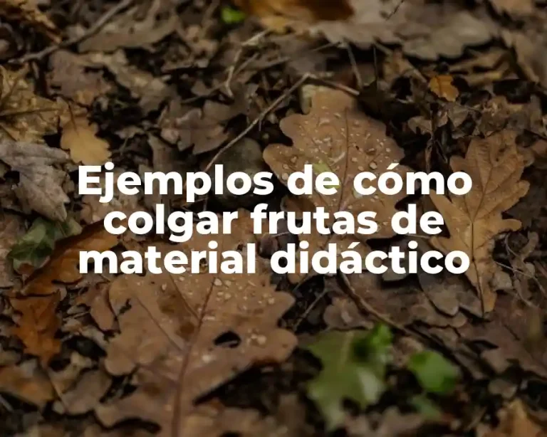 Ejemplos de cómo colgar frutas de material didáctico