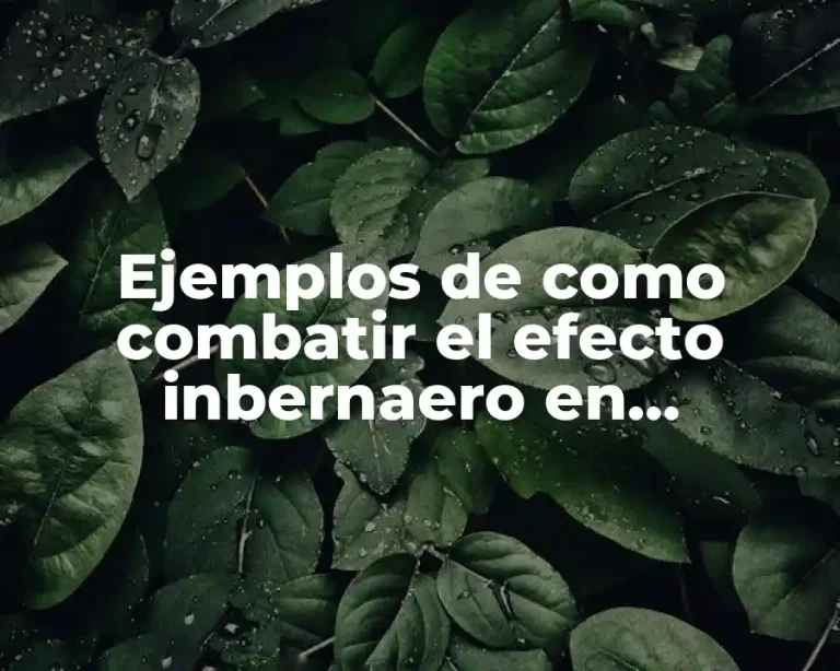 Ejemplos de como combatir el efecto inbernaero en cartulinas