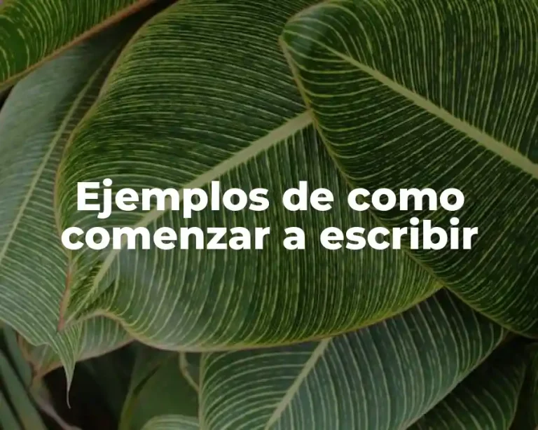 Ejemplos de como comenzar a escribir
