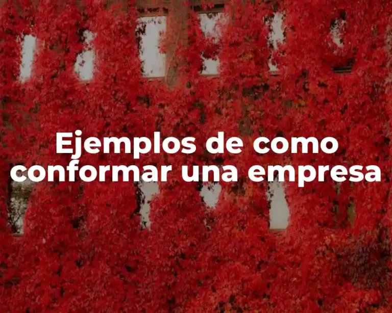 Ejemplos de como conformar una empresa