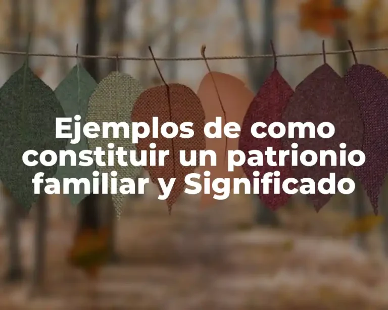 Ejemplos de como constituir un patrionio familiar y Significado