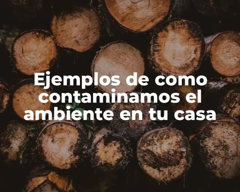 Ejemplos de como contaminamos el ambiente en tu casa