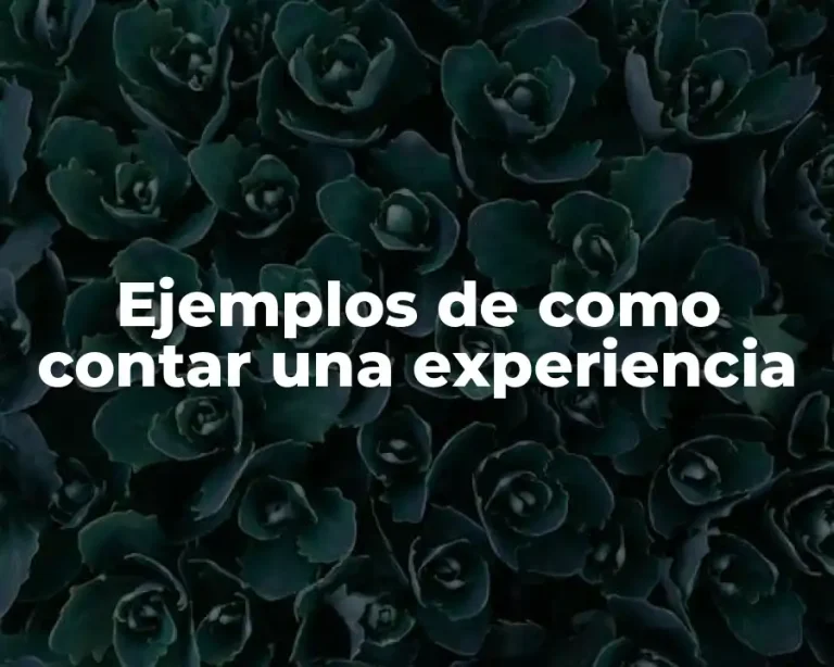 Ejemplos de como contar una experiencia