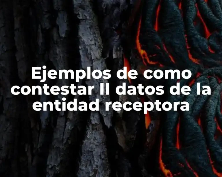 Ejemplos de como contestar II datos de la entidad receptora