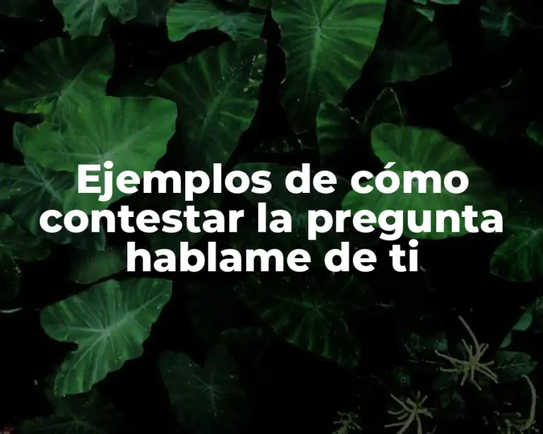 Ejemplos de cómo contestar la pregunta hablame de ti