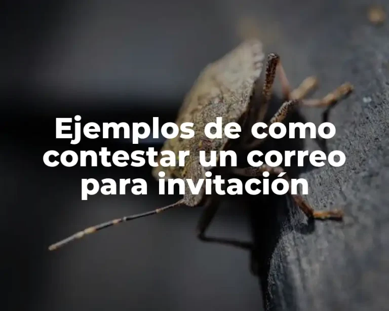 Ejemplos de como contestar un correo para invitación
