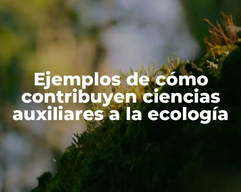 Ejemplos de cómo contribuyen ciencias auxiliares a la ecología