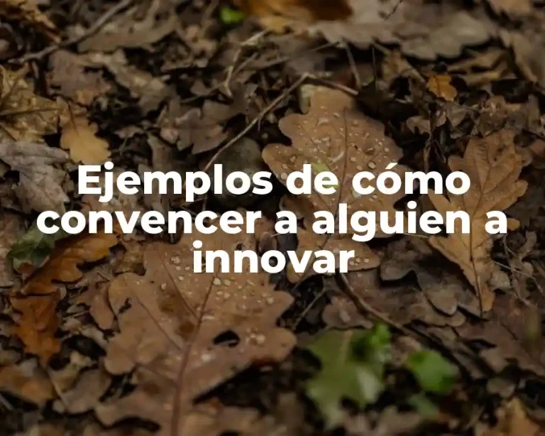 Ejemplos de cómo convencer a alguien a innovar