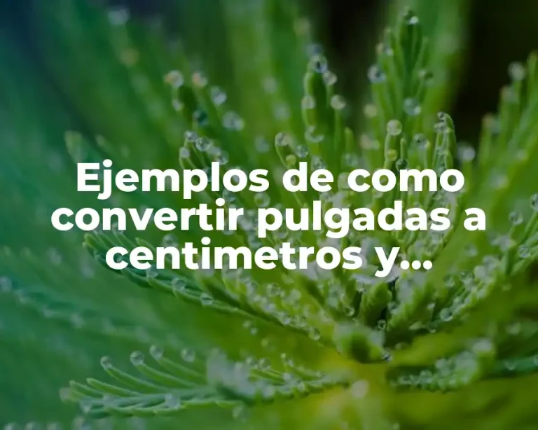 Ejemplos de como convertir pulgadas a centimetros y Significado