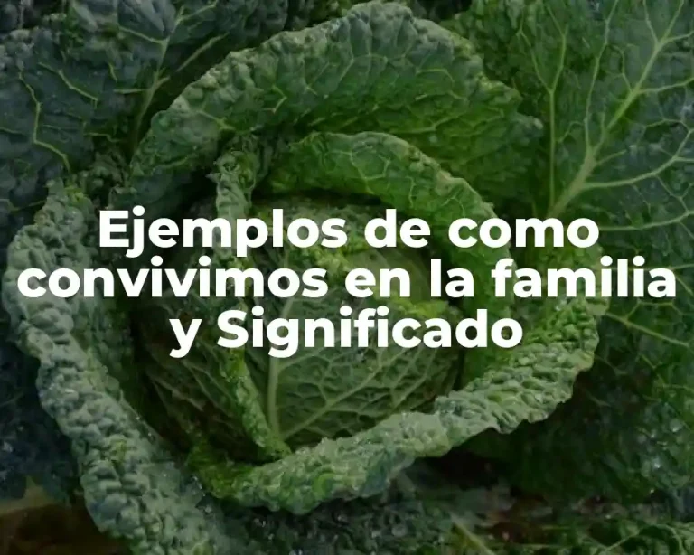 Ejemplos de como convivimos en la familia y Significado