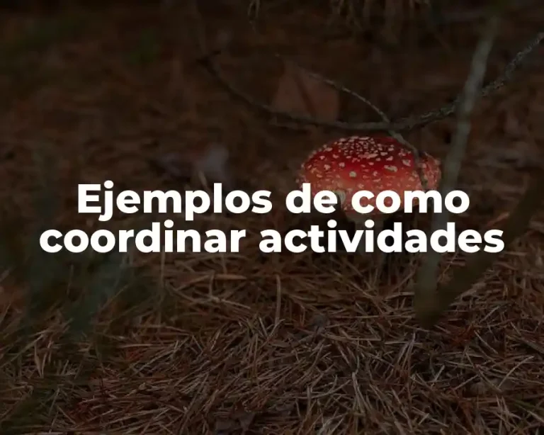 Ejemplos de como coordinar actividades