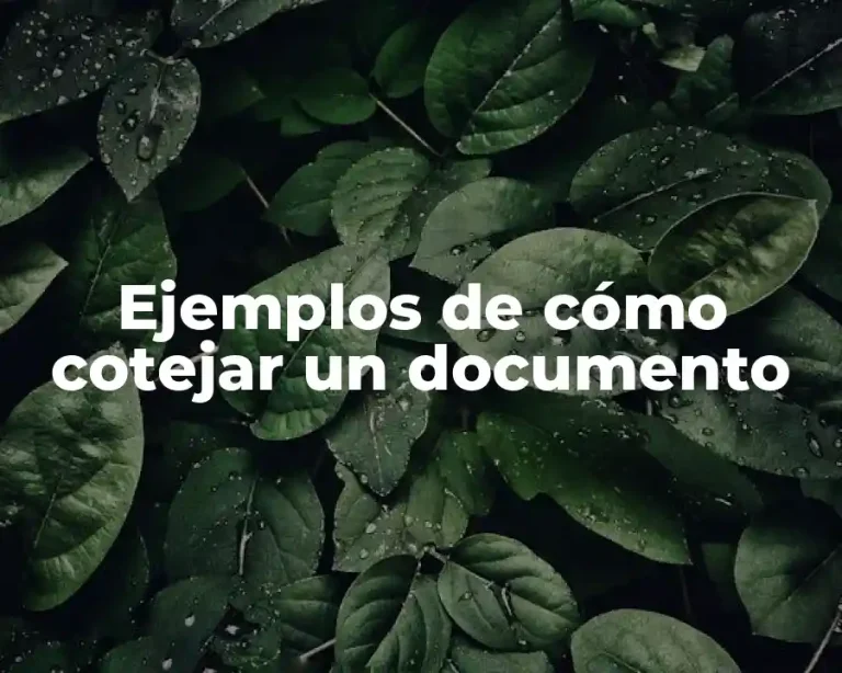 Ejemplos de cómo cotejar un documento