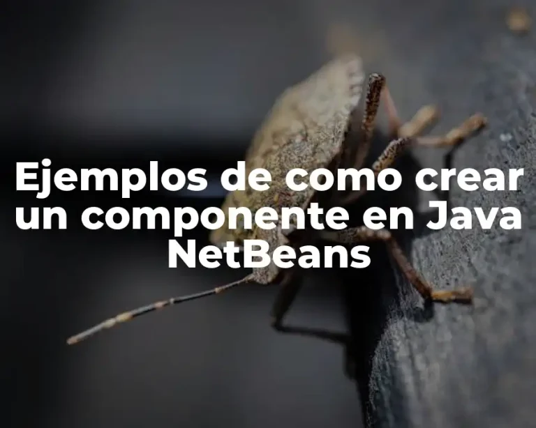 Ejemplos de como crear un componente en Java NetBeans
