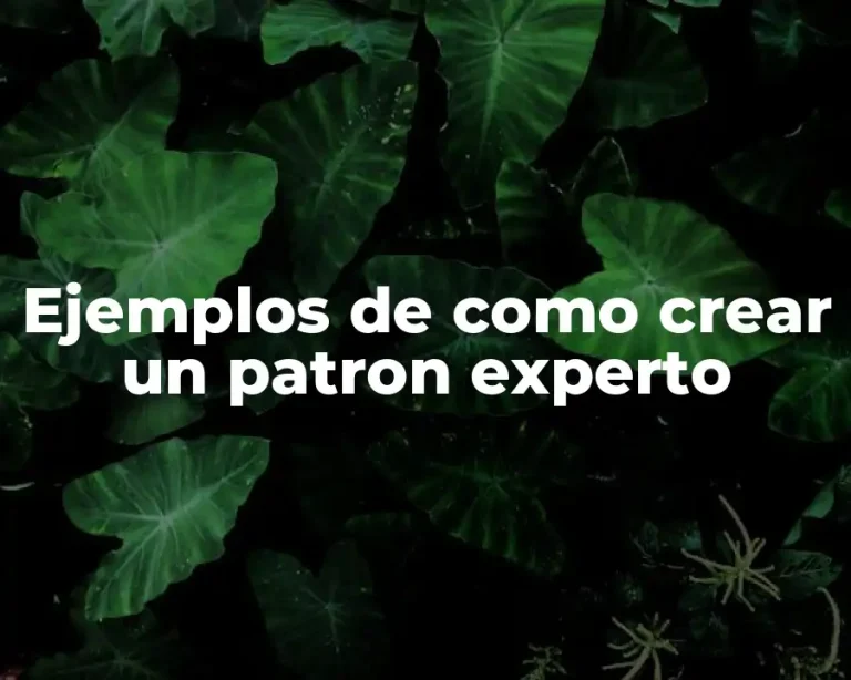Ejemplos de como crear un patron experto