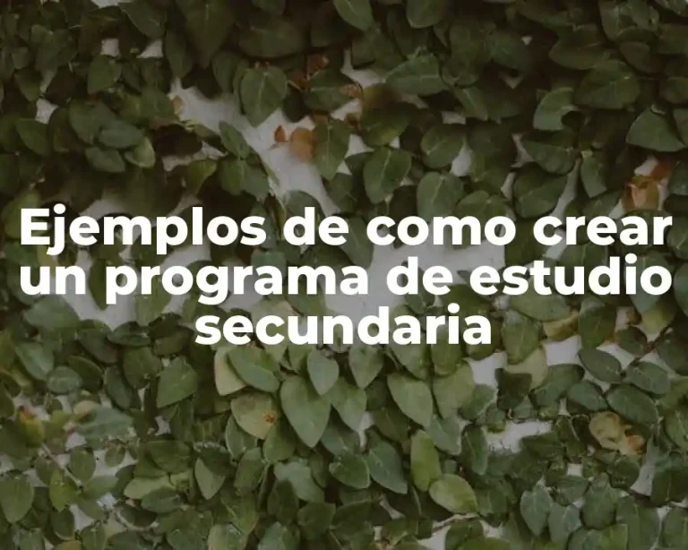 Ejemplos de como crear un programa de estudio secundaria