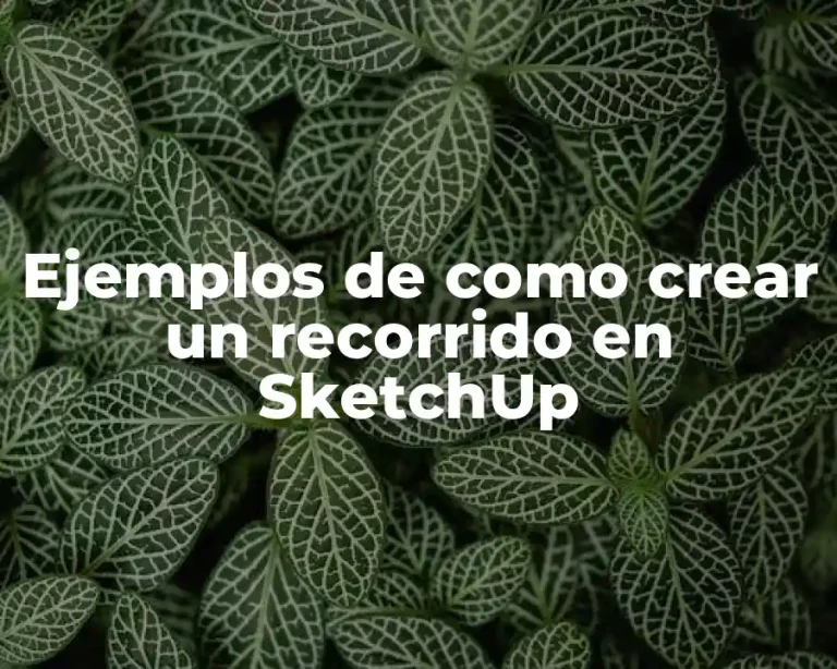 Ejemplos de como crear un recorrido en SketchUp