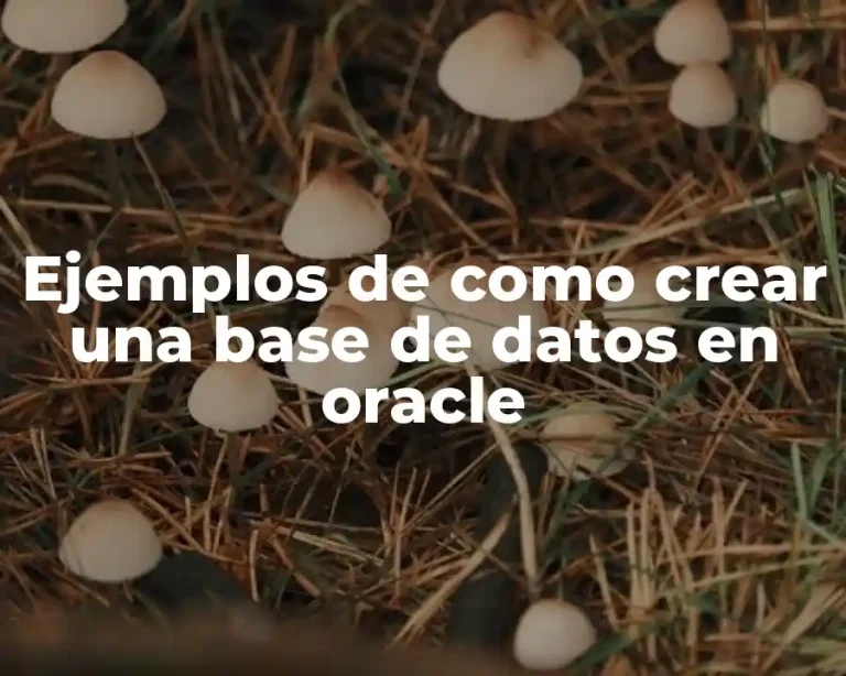 Ejemplos de como crear una base de datos en oracle