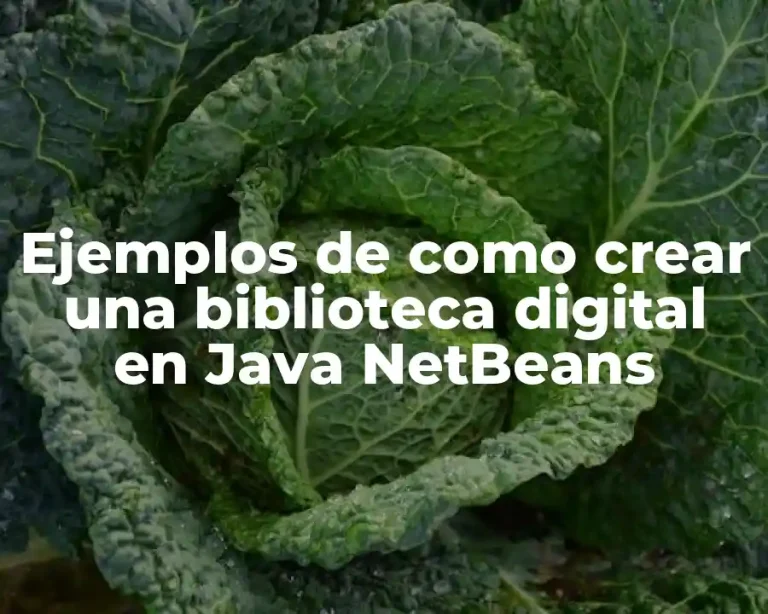 Ejemplos de como crear una biblioteca digital en Java NetBeans