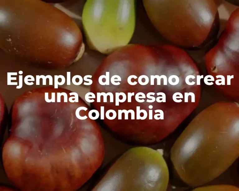 Ejemplos de como crear una empresa en Colombia