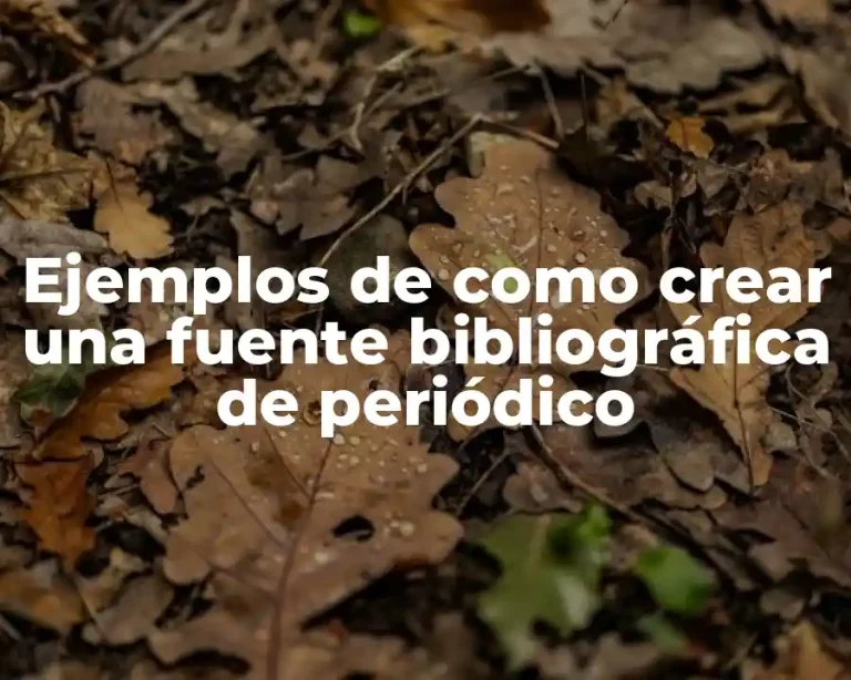Ejemplos de como crear una fuente bibliográfica de periódico
