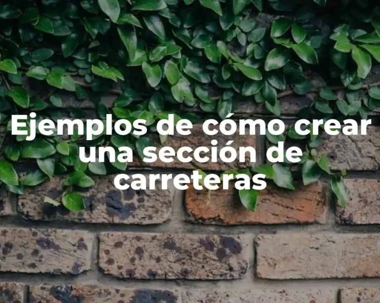 Ejemplos de cómo crear una sección de carreteras