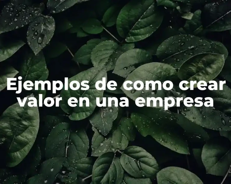 Ejemplos de como crear valor en una empresa