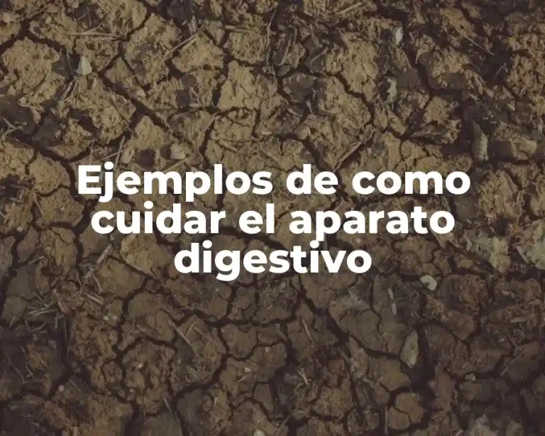 Ejemplos de como cuidar el aparato digestivo