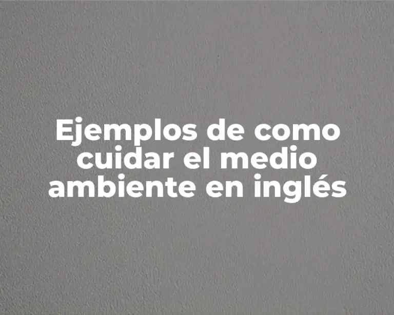 Ejemplos de como cuidar el medio ambiente en inglés