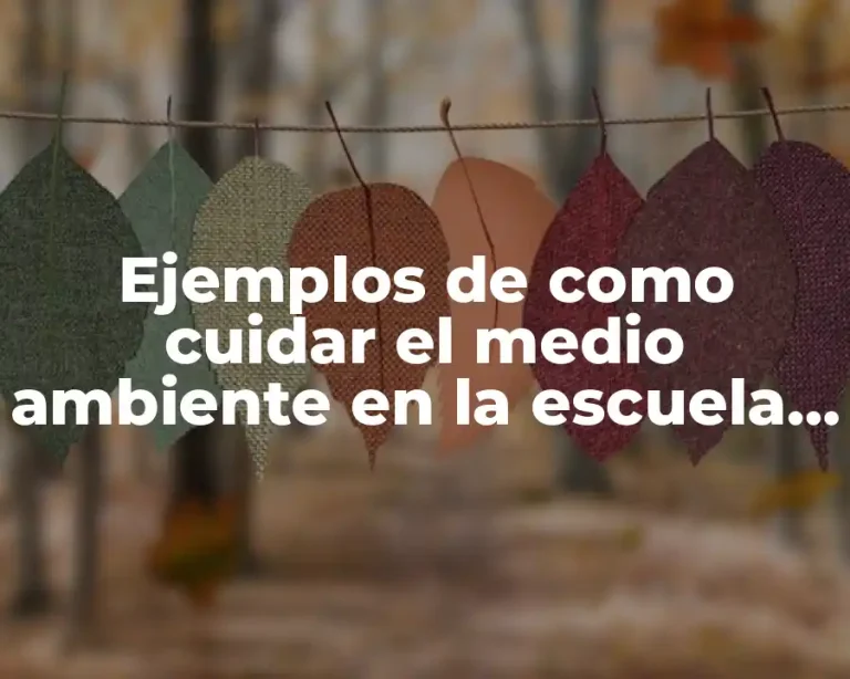 Ejemplos de como cuidar el medio ambiente en la escuela y Significado