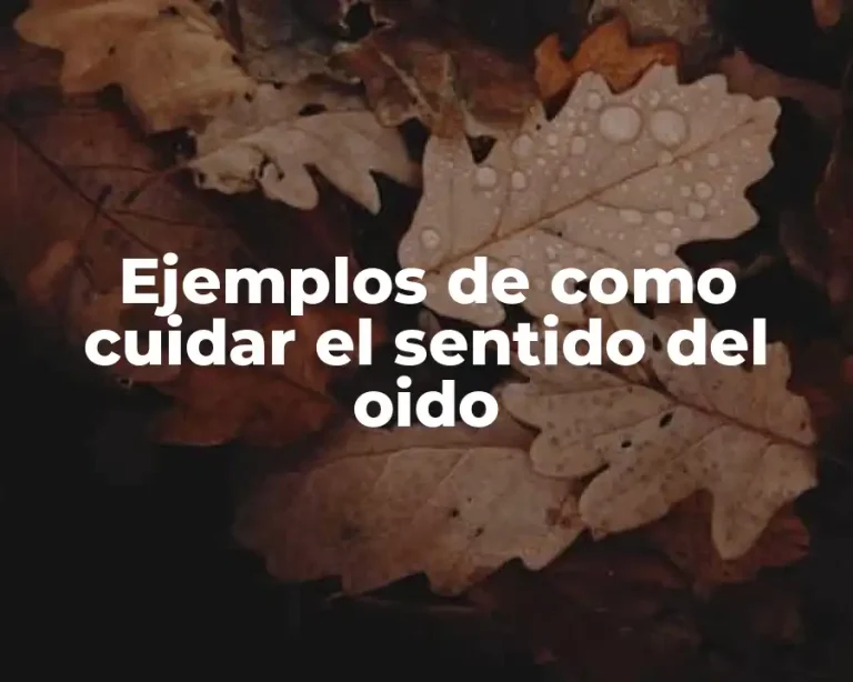 Ejemplos de como cuidar el sentido del oido