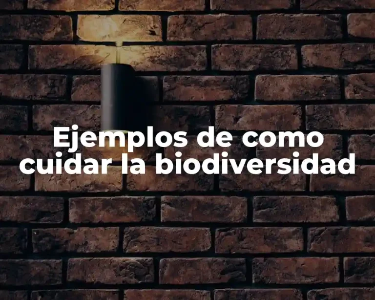 Ejemplos de como cuidar la biodiversidad
