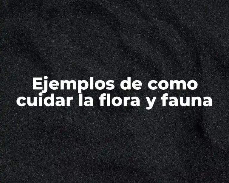 Ejemplos de como cuidar la flora y fauna