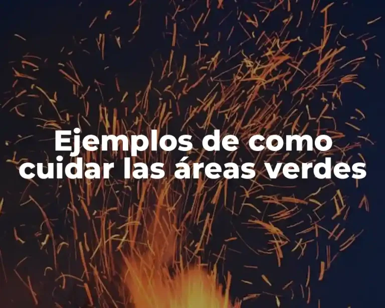 Ejemplos de como cuidar las áreas verdes