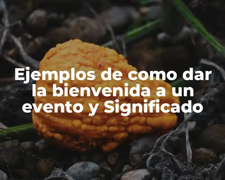 Ejemplos de como dar la bienvenida a un evento y Significado