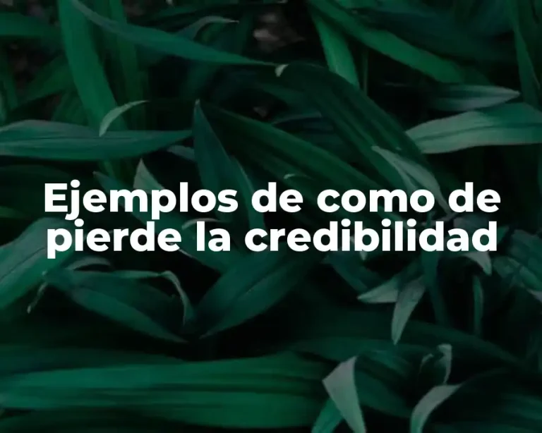 Ejemplos de como de pierde la credibilidad