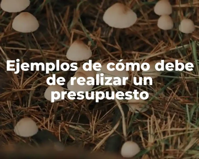 Ejemplos de cómo debe de realizar un presupuesto