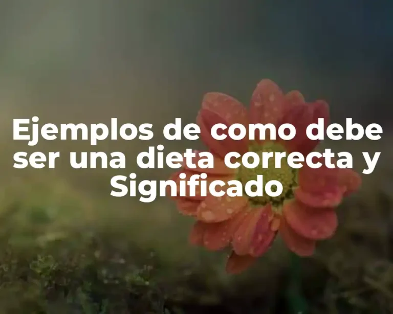 Ejemplos de como debe ser una dieta correcta y Significado