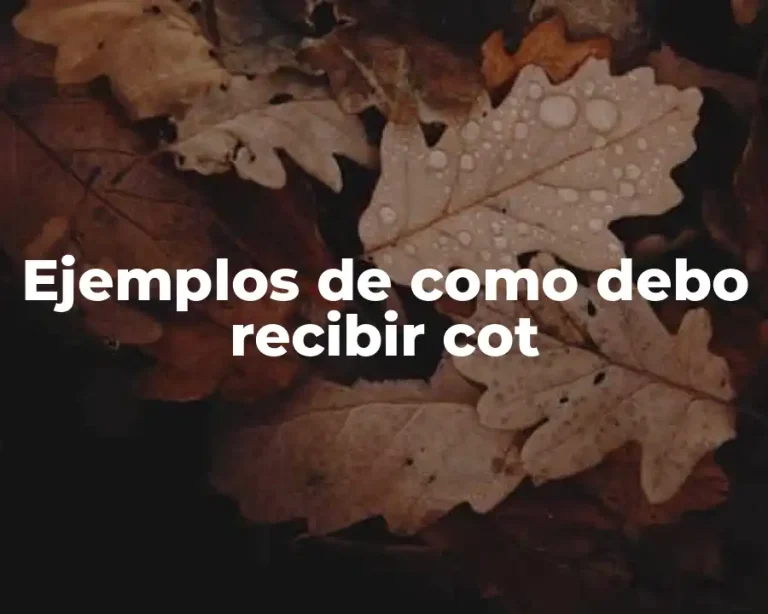 Ejemplos de como debo recibir cot