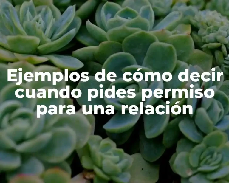 Ejemplos de cómo decir cuando pides permiso para una relación